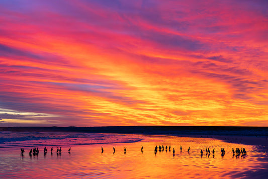 Falkland Islands - December 2027 - Booking Page